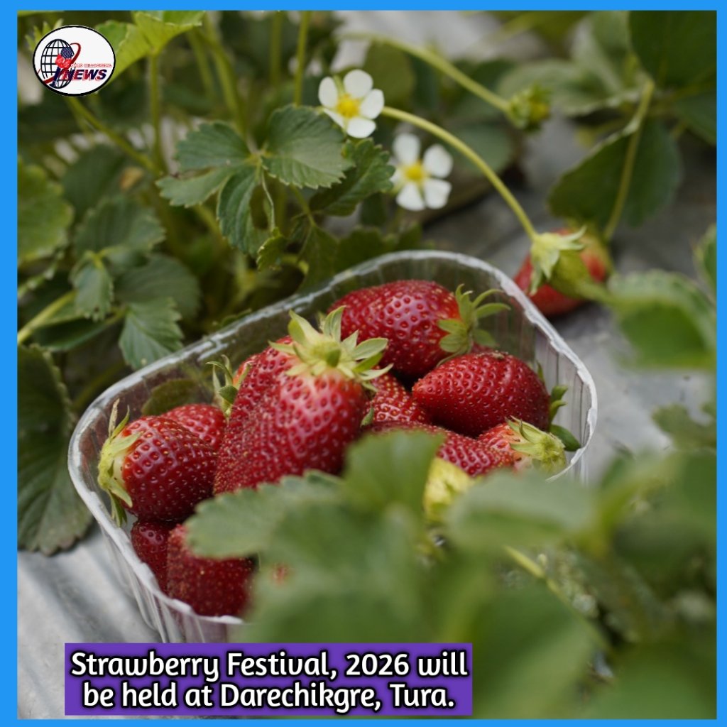Meghalaya to Host Strawberry Festival 2026 Across Three Key Farming Clusters
